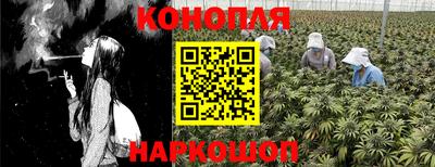 прущие грибы Краснокаменск