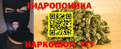 apvp Краснодар