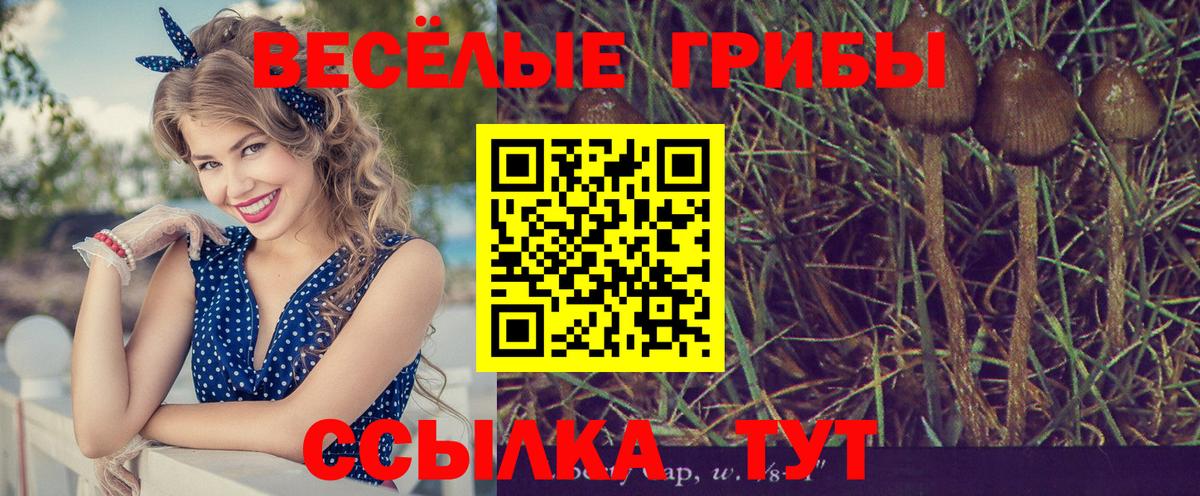 Псилоцибиновые грибы ЛСД Армавир